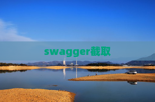 swagger截取